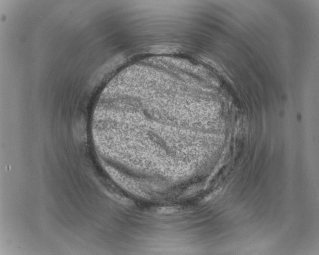 X0000073730303200608311852