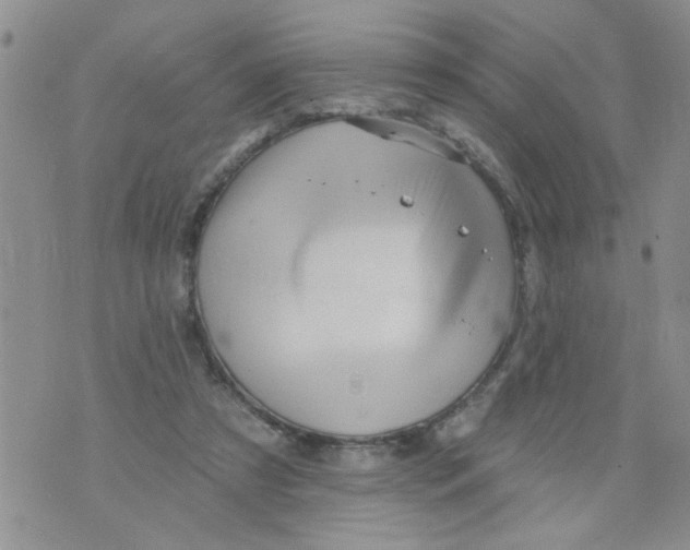 X0000073730305200608311852