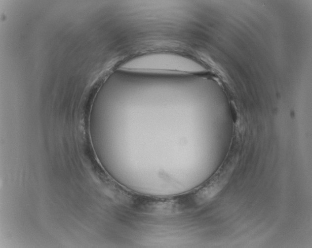 X0000073730306200608311852