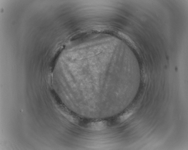 X0000073730307200608311851