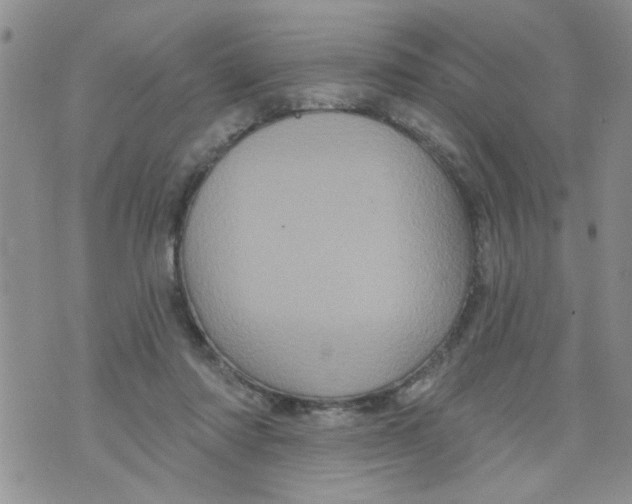 X0000073730310200608311851