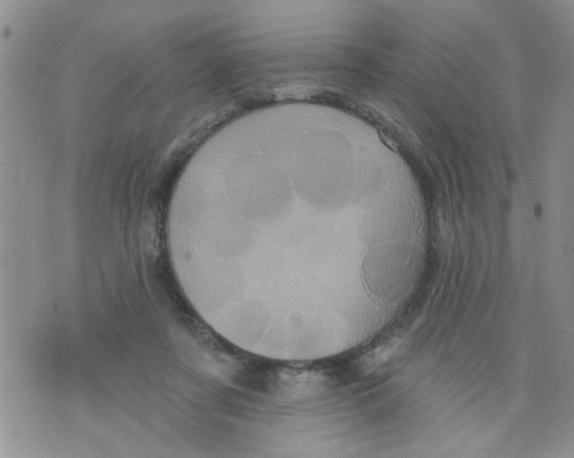 X0000073730311200608311851