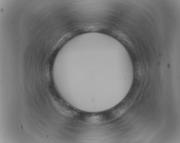 X0000073730312200608311851