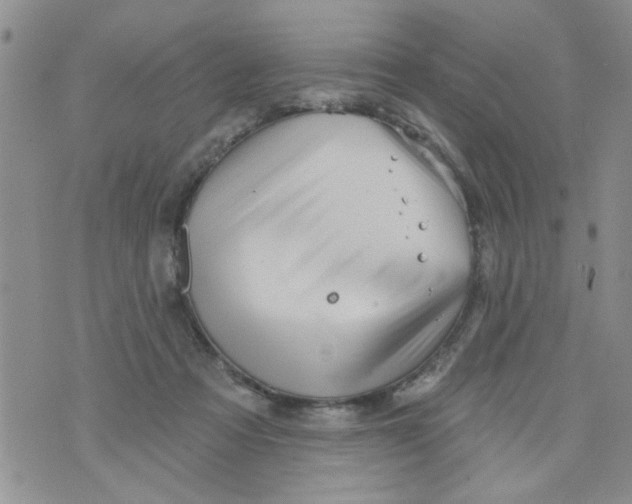 X0000073730313200608311851