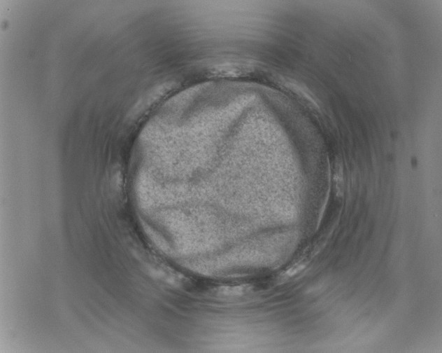 X0000073730314200608311851