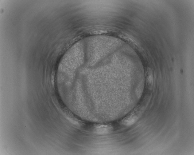 X0000073730315200608311851