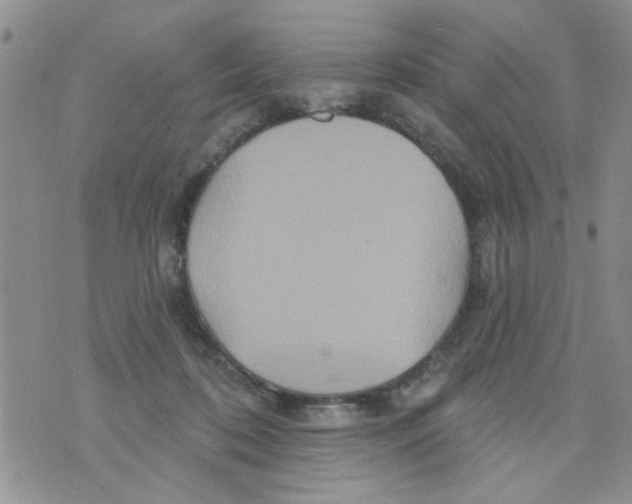 X0000073730316200608311851