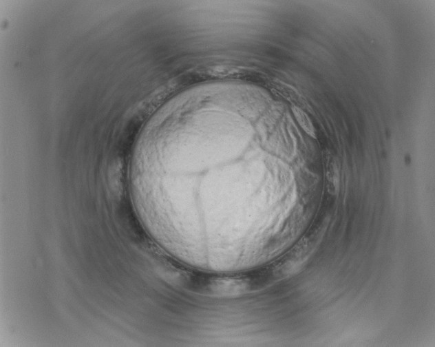 X0000073730319200608311851