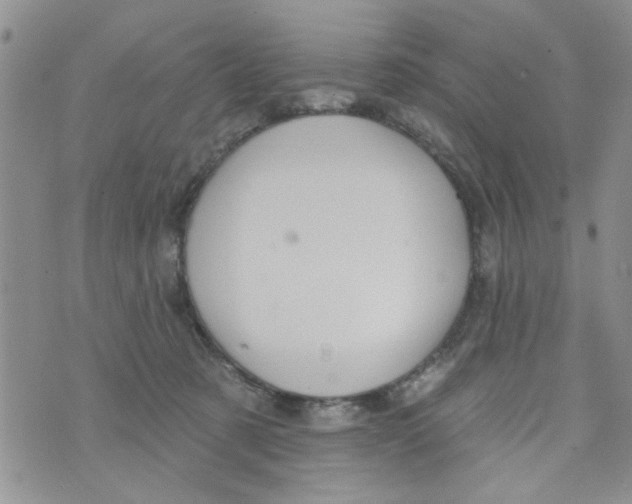 X0000073730321200608311851