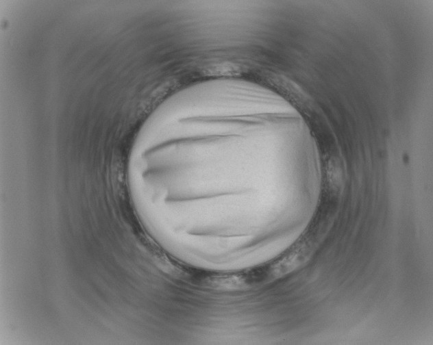 X0000073730322200608311851