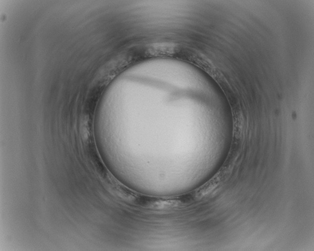 X0000073730323200608311851