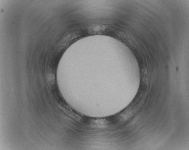 X0000073730324200608311851