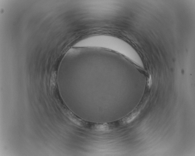 X0000073730325200608311851