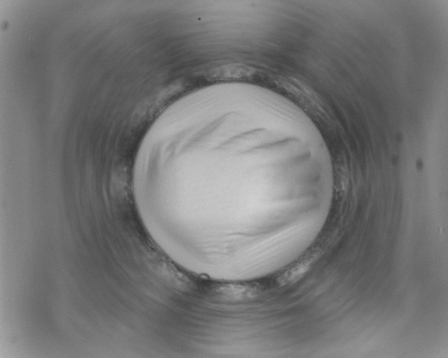 X0000073730326200608311851