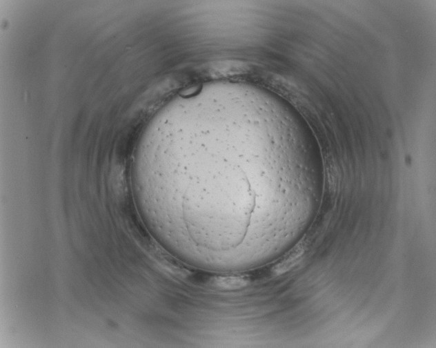 X0000073730327200608311851