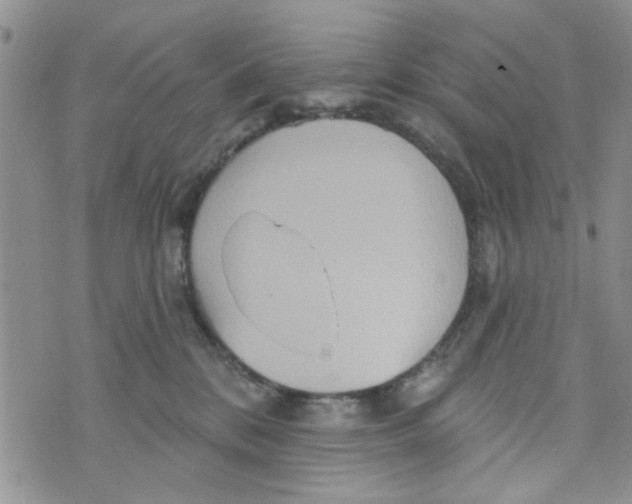 X0000073730328200608311851