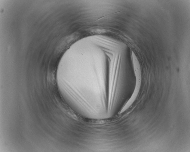 X0000073730330200608311851