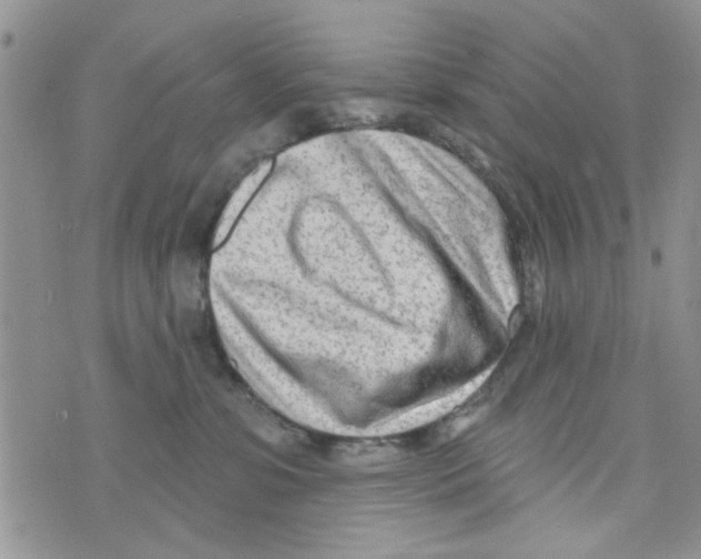 X0000073730331200608311851