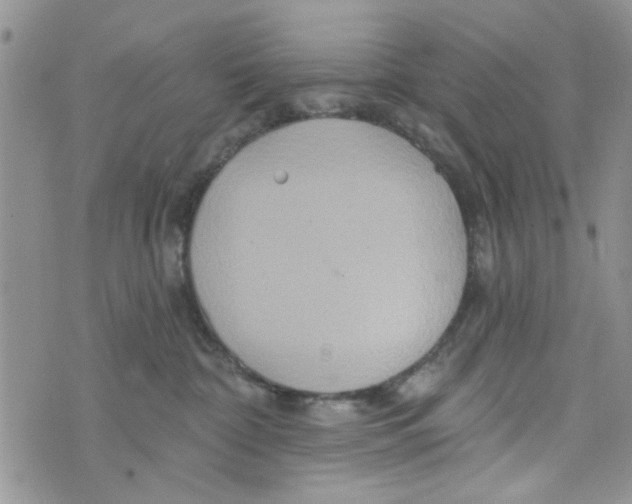 X0000073730332200608311851