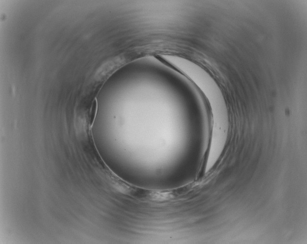 X0000073730333200608311851