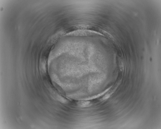 X0000073730334200608311851