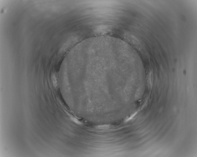 X0000073730335200608311851