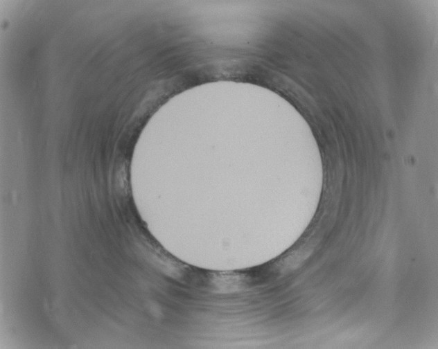 X0000073730336200608311851