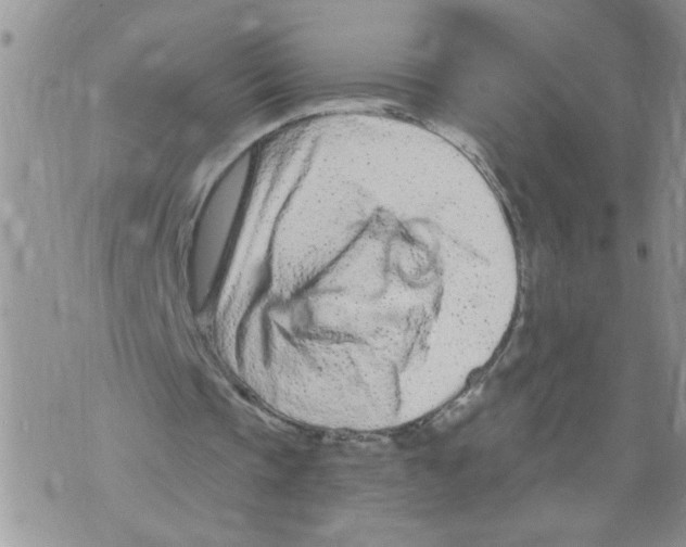 X0000073730337200608311850