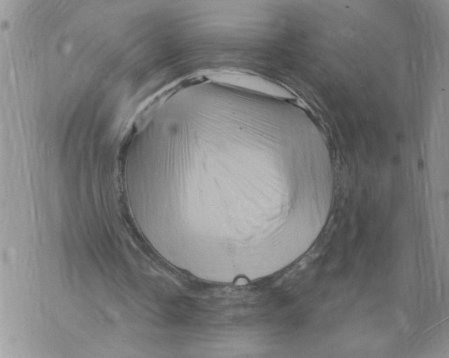 X0000073730338200608311850