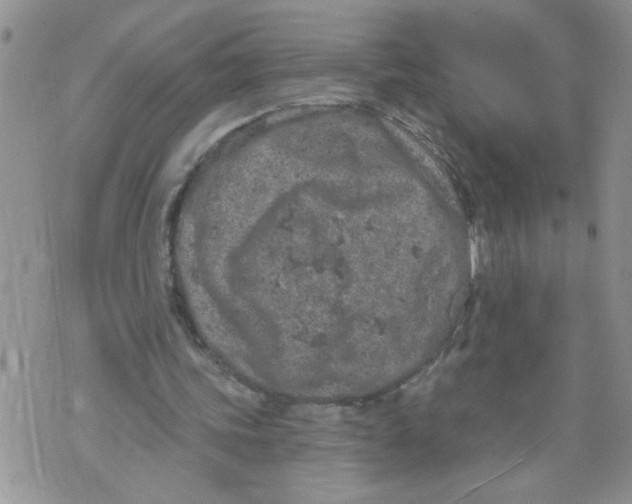 X0000073730339200608311850