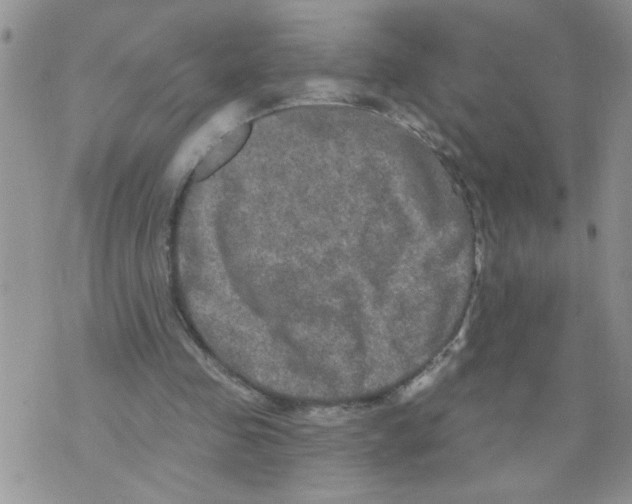 X0000073730341200608311850