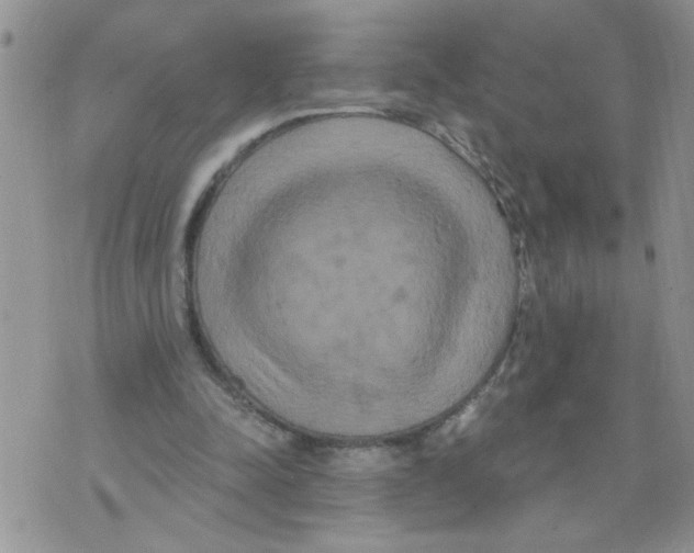 X0000073730342200608311850