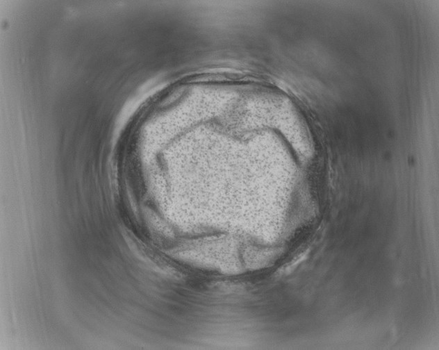 X0000073730343200608311850