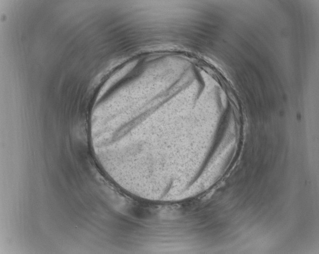 X0000073730345200608311850