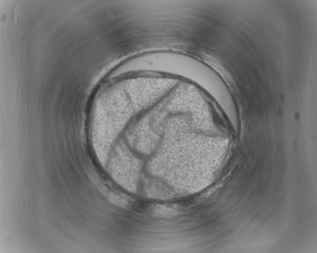 X0000073730346200608311850