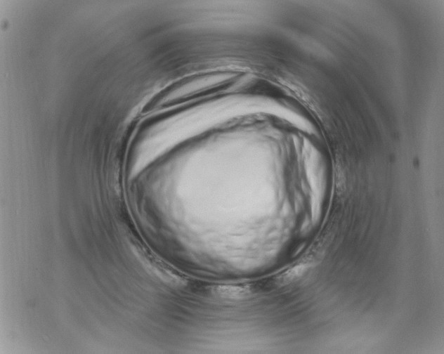 X0000073730347200608311850