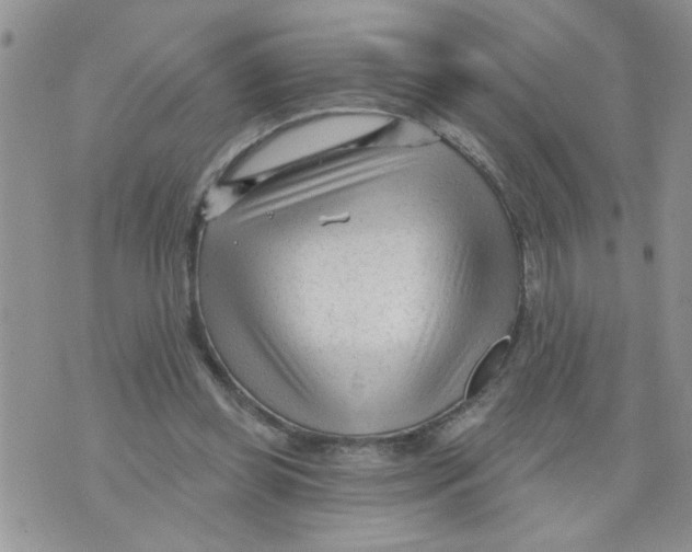 X0000073730349200608311850