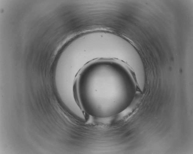 X0000073730350200608311850