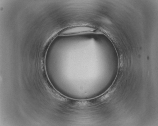 X0000073730351200608311850