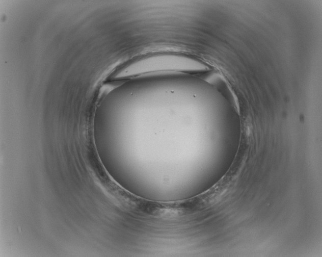 X0000073730352200608311851