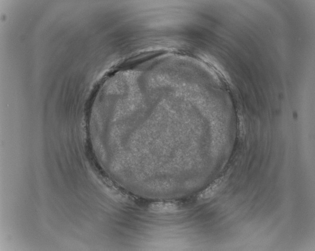 X0000073730354200608311851