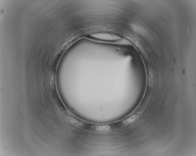 X0000073730355200608311851