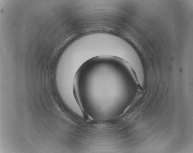 X0000073730356200608311851