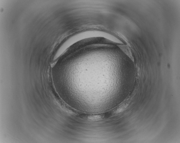 X0000073730357200608311851