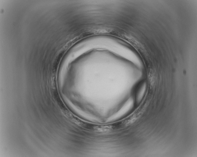 X0000073730359200608311851