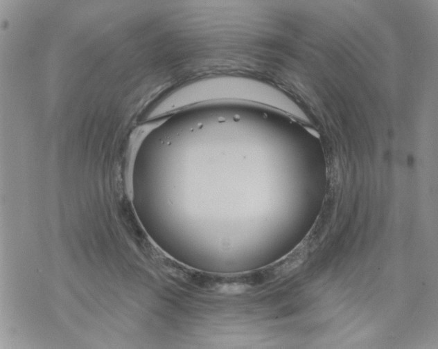 X0000073730360200608311851