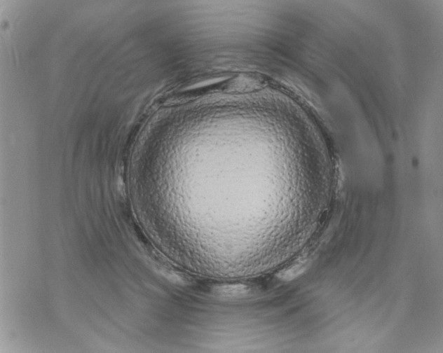 X0000073730361200608311851