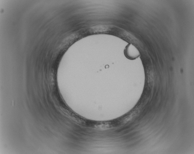 X0000073730362200608311851