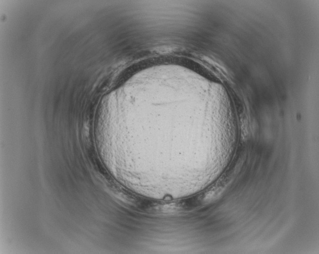 X0000073730365200608311851