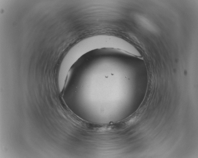 X0000073730366200608311851